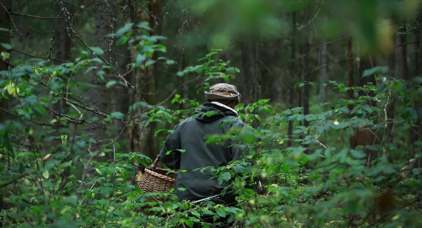 MartinBauer Acquires American Botanicals, Wholesaler of Wildcrafted Herbs